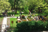Dobra praktyka #2: Ogrodnictwo miejskie jako narzędzie integracji społecznej i rewitalizacji miast