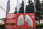 Zdjęcie z trzeciego dnia akcji w Kalwarii Zebrzydowskiej - Widoczny model płuc lekko pokryty pyłem