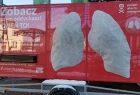 Zdjęcie z szóstego dnia akcji w Kalwarii Zebrzydowskiej - Widoczny model płuc pokryty szarym pyłem