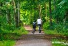 Rowerzyści na ścieżce rowerowej w lesie