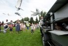 Wypuszczenie gołębi z klatek do lotu podczas dożynek