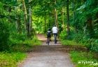 Wycieczka rowerowa przez las