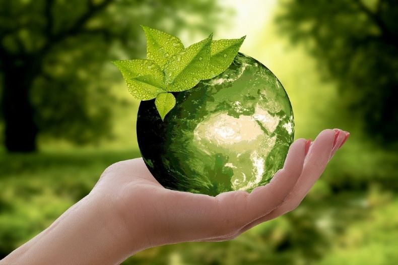Dłoń trzymająca zieloną szklaną kulę, na której widoczne są zielone liście