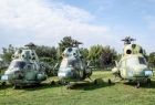 Zabytkowe śmigłowce Mi-2 stoją w trawie.
