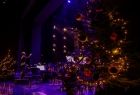 Widok na świątecznie przystrojoną choinkę stojącą na scenie Opery Krakowskiej. Na dalszym planie stoi dyrygent w trakcie koncertu. 