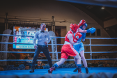 Przejdź do: Popularyzacja boksu wśród młodzieży