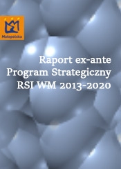 Raport ex-ante - Program Strategiczny RSI WM 2013-2020