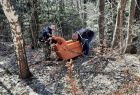 Dwaj wolontariusze wynoszą z lasu porzucony fotel. 