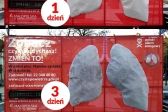 Podsumowanie akcji „Małopolska bez smogu” 2020 