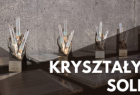 Przedstawia Nagrodę Kryształy Soli