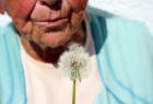 Zdjęcie ilustracyjne przedstawiające seniorkę w dmuchawcem w dłoni