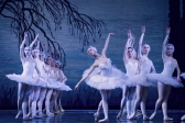 Przejdź do: Royal Russian Ballet z Jeziorem łabędzim w Tarnowie