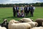 Grupa osób stojących na trawniku na drugim planie. Na pierwszym planie stado owiec.