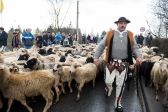 Przejdź do: Bacowie i juhasi z pokłonem u Gaździny Podhala