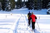 Przejdź do: Pieszo, na nartach i rowerze czyli nowe trasy turystyczne w Małopolsce