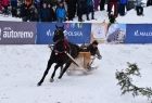 Zdjęcie przedstawia konia ciągnącego mężczyznę na nartach, Zdjęcie przedstawia konia zaprzęgniętegow sanie, na ktorych siedzą kobieta i mężczyzna w goralskich strojach, w zimie podczas 46.Góralskiego Karnawału.