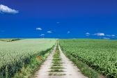 Przejdź do: Poprawi się jakość gruntów rolnych w Małopolsce