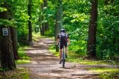 Przejdź do: Weź rower i ruszaj w Małopolskę