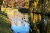 Przejdź do: Park Miejski w Miechowie wypięknieje 