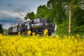 Przejdź do: Ciekawe atrakcje? Oczywiście w Małopolsce!