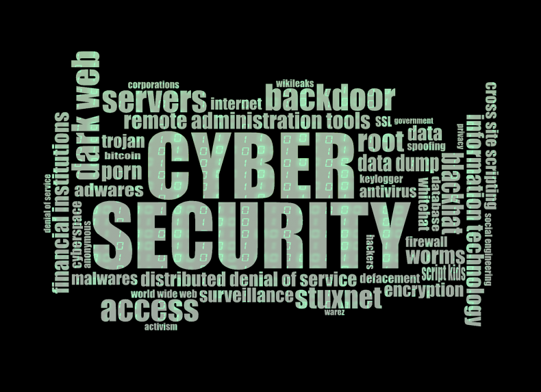 gragika przedstawia hasła zwiazane z cyber security