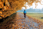 Zdjęcie przedstawia osobę jadącą na rowerze jesienią