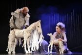 Przejdź do: Spektakl Dokąd pędzisz, koniku? Teatr Maska w Rzeszowie 