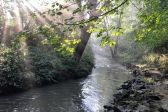 Przejdź do: Akcja sprzątania rzeki Dłubni – już w sobotę