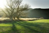 Przejdź do: Małopolanie walczą o czyste powietrze. Rośnie liczba Ekointerwencji