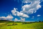 Widok na zieloną łąkę i błękitne niebo z białymi obłokami