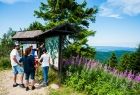 Beskid Sądecki. Jaworzyna Krynicka