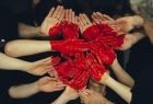 Zdjęcie przedstawia dłonie ludzi z namalowanym sercem