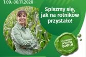 Przejdź do: Powszechny Spis Rolny 2020