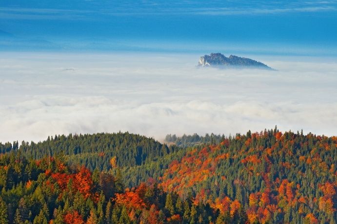 Widok z Radziejowej