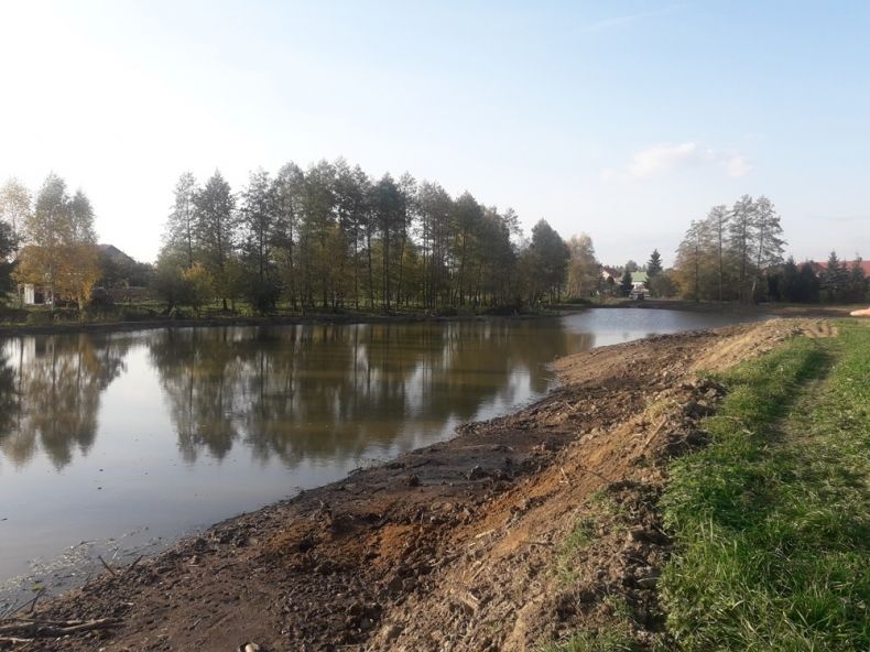 rzeka z widokiem na pas ziemi tuż przy brzegu i drzewa, rosnące w oddali