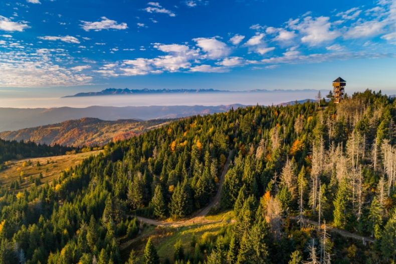 Wieża widokowa na Gorcu. W tle widok na Tatry