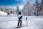 Stok narciarski na Jaworzynie Krynickiej