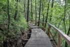 Park Zdrojowy w Ciężkowicach