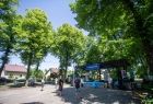 Park "pod lipkami" w Brzeszczach, miejsce w którym zorganizowano konkurs piosenki