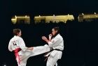 walka karateków