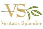 Logotyp Nagrody Veritatis Splendor