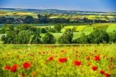 Przejdź do: Konsultacje społeczne w sprawie powierzchni przeznaczonej pod uprawy maku i konopi włóknistych oraz rejonizacji tych upraw w województwie małopolskim w 2021 roku