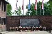 Przejdź do: Pamięci Ofiar KL Auschwitz