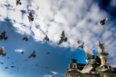 Przejdź do: Konkurs fotograficzny „Skarby Małopolski” 