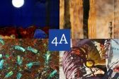 Przejdź do: Wystawa 4A w BWA SOKÓŁ w Nowym Sączu