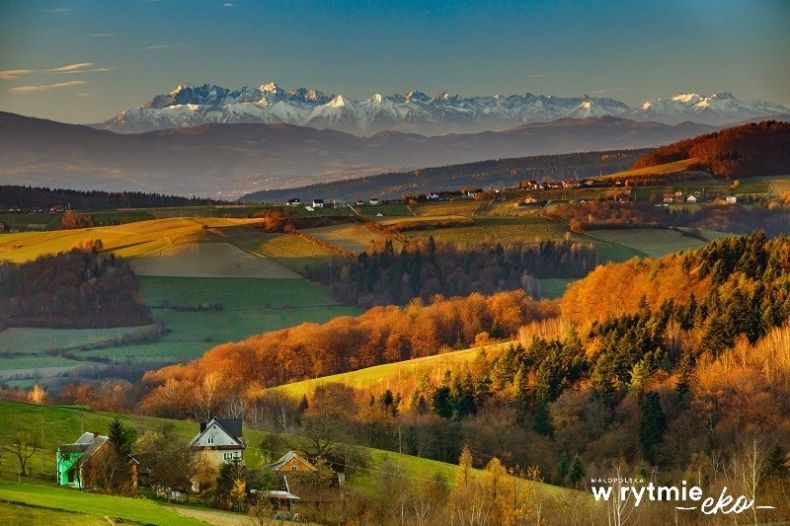 Widok na Tatry