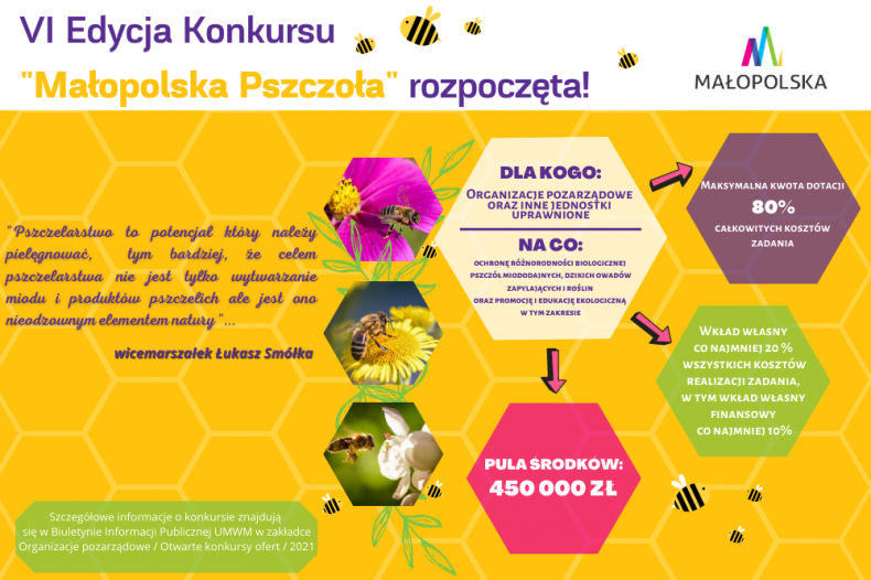 VI edycja konkursu Małopolska Pszczoła rozpoczęta!
