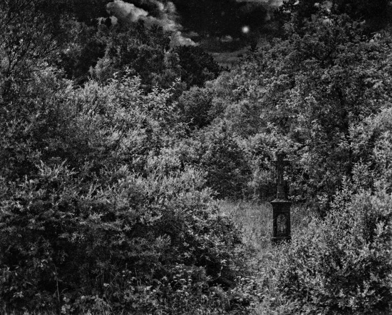 Zdjęcie czarno - białe autorstwa Rafała Marchuta, na którym kamienny krzyż stoi pod drzewem