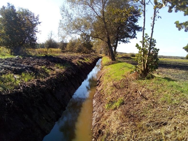 Rów melioracyjny biegnący przez pola. Na jego brzegu rosną drzewa