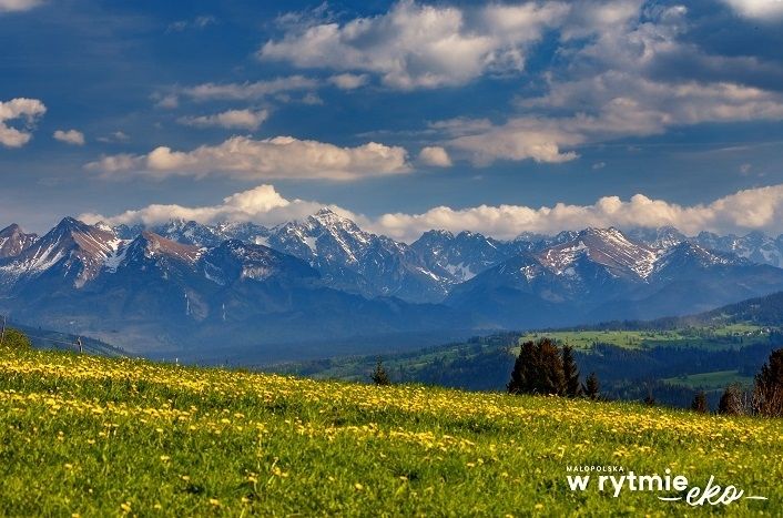 Widok z Czarnej Góry na Tatry
